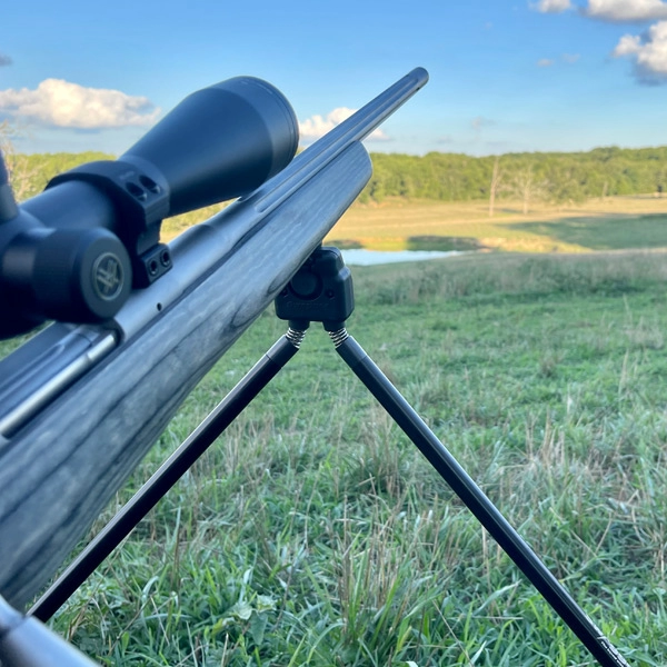 Late Summer Coyote Tactics