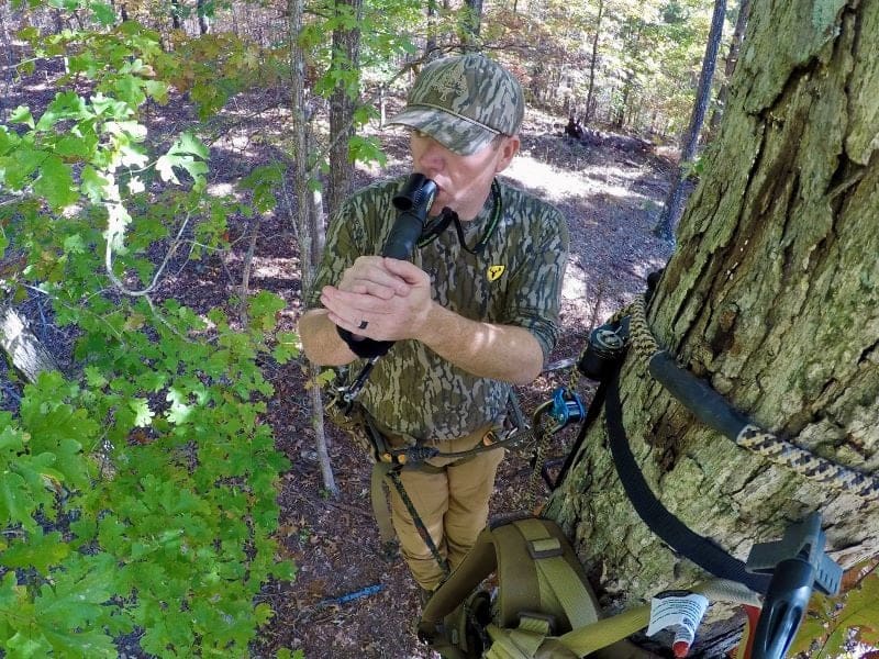 How Well Do You Know The Peak Whitetail Rut?